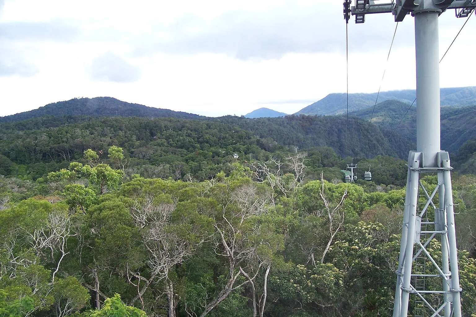 Skyrail Rainforest Cableway Eintritt: Anleitung zur Buchung