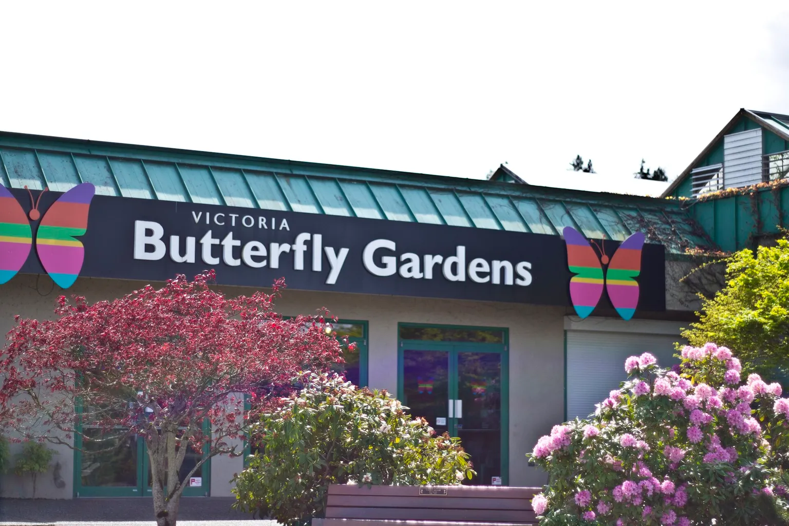 Victoria Butterfly Gardens Tickets: Buchung in 4 Schritten